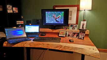 Raw barkline edges make for a rustic desk for any workstation